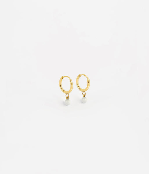 Boucles d'oreilles Shinny ZAG